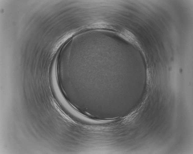 X0000056330389200508261226