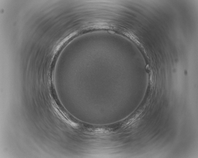 X0000056330390200508261226