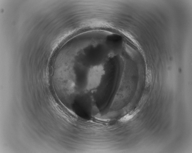 X0000056330391200508261226