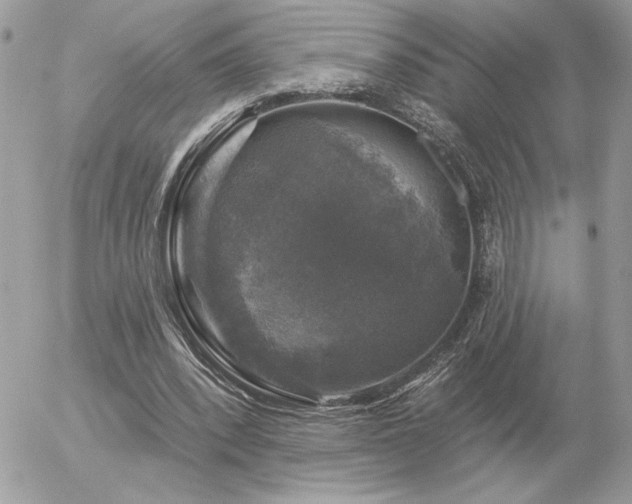 X0000056330392200508261226