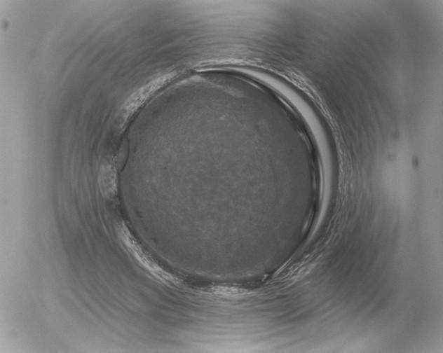 X0000056330393200508261226