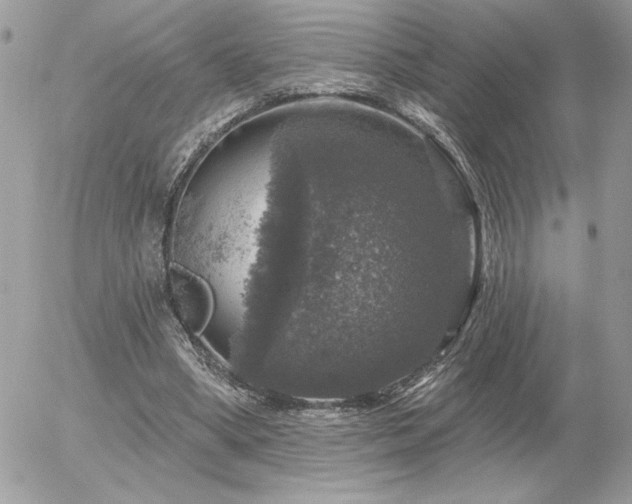 X0000056330394200508261226