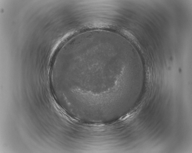 X0000056330395200508261226