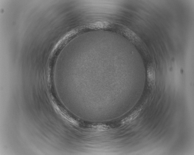 X0000056330396200508261226