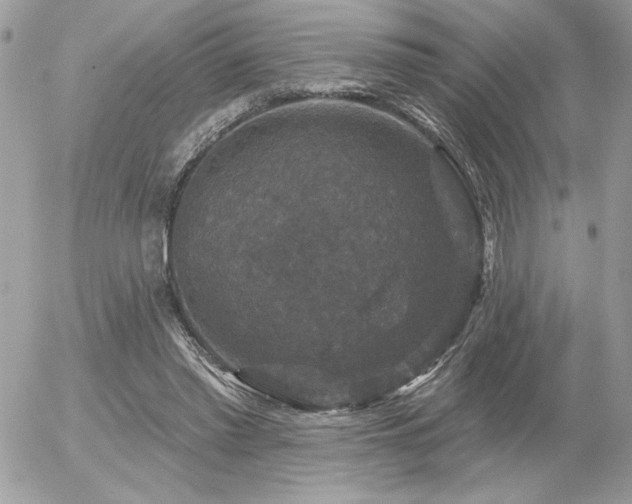 X0000056330397200508261226