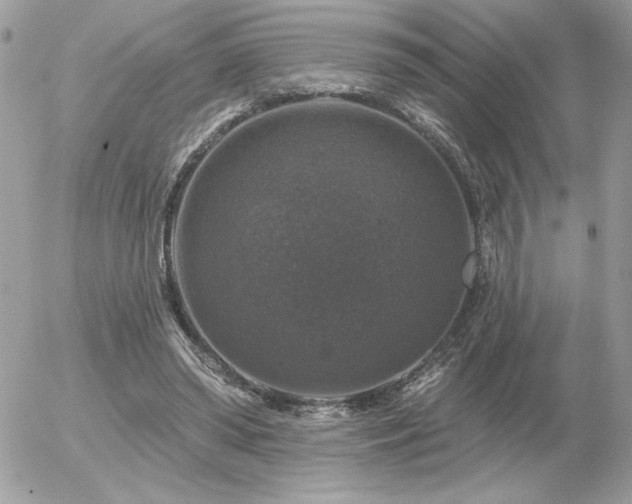 X0000056330398200508261226