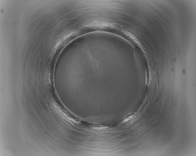 X0000056330399200508261226