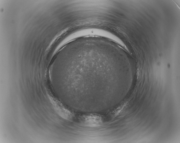 X0000056330400200508261226