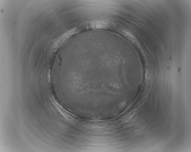 X0000056330401200508261226