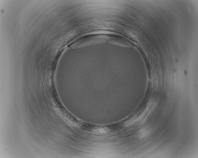 X0000056330402200508261226