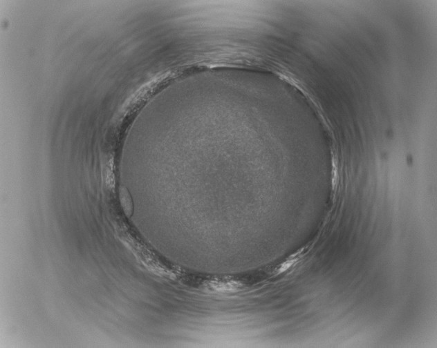 X0000056330403200508261226