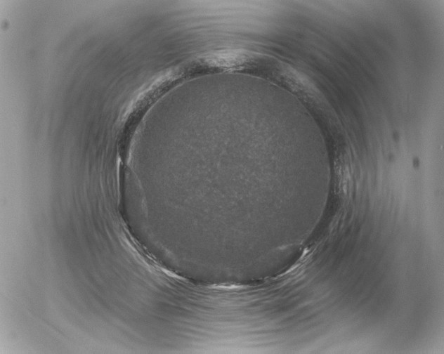 X0000056330404200508261226