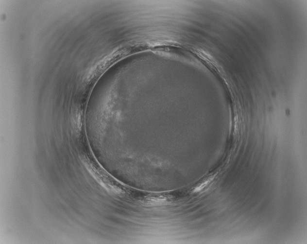 X0000056330405200508261226