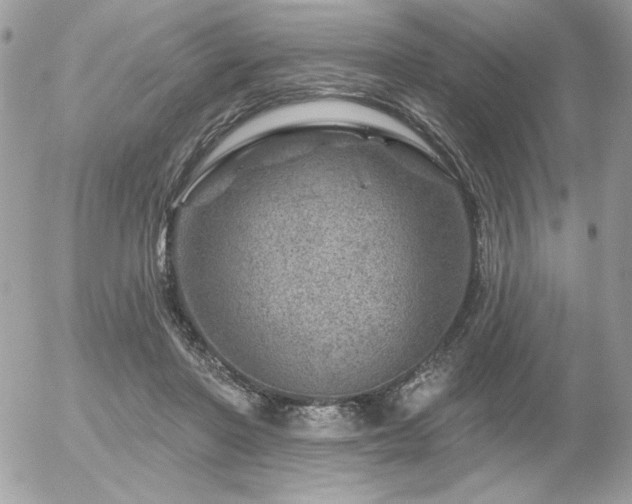 X0000056330406200508261226