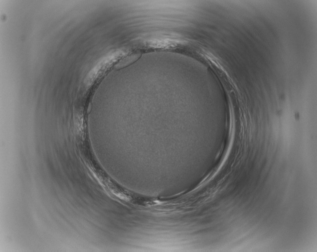 X0000056330407200508261226