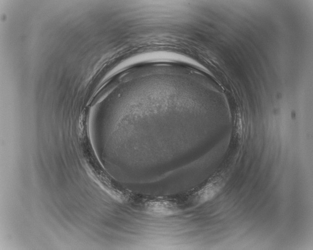 X0000056330408200508261226