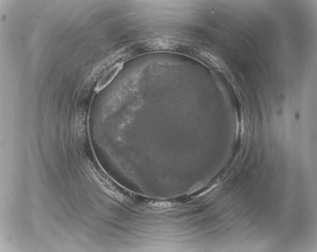 X0000056330409200508261226