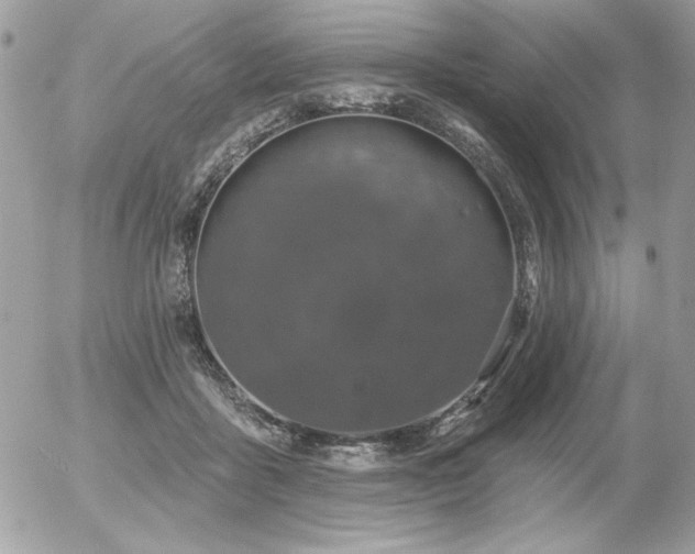 X0000056330411200508261226