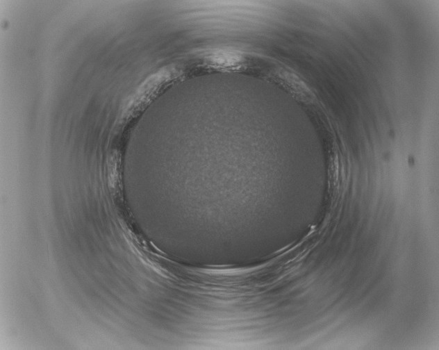 X0000056330412200508261226