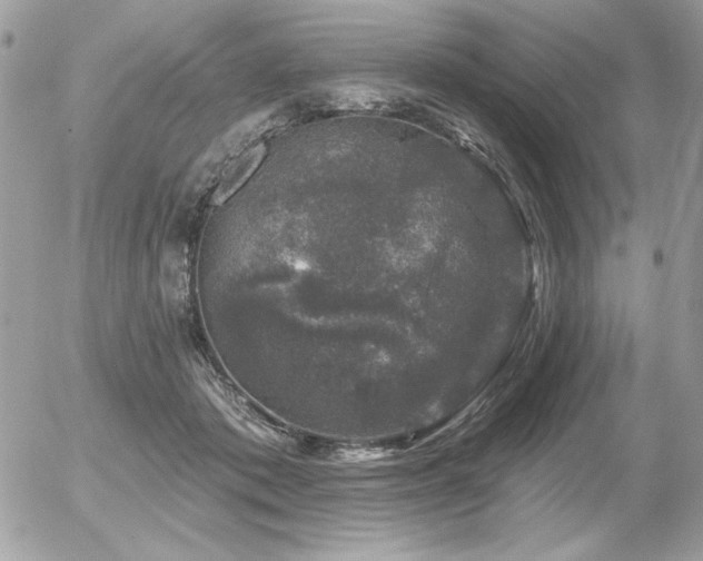 X0000056330413200508261226