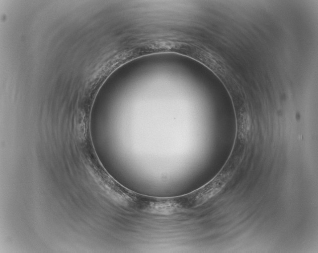 X0000056330414200508261225