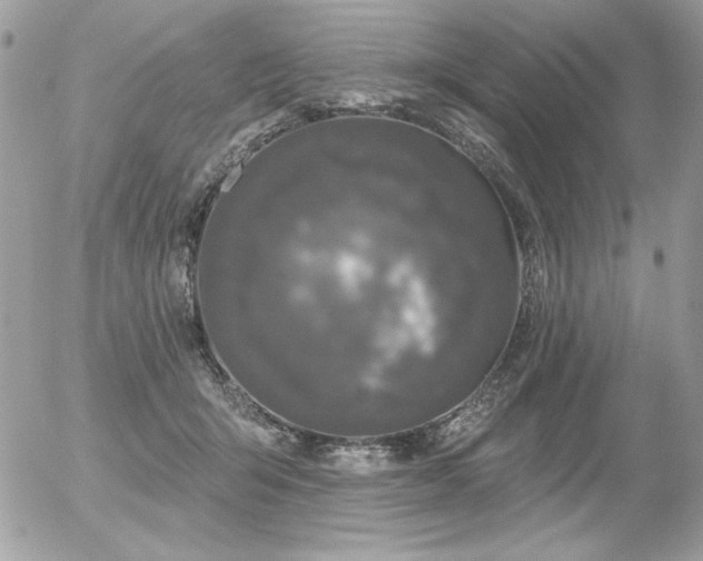 X0000056330415200508261225