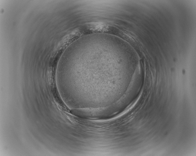 X0000056330416200508261225