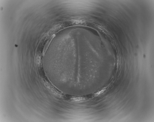 X0000056330417200508261225