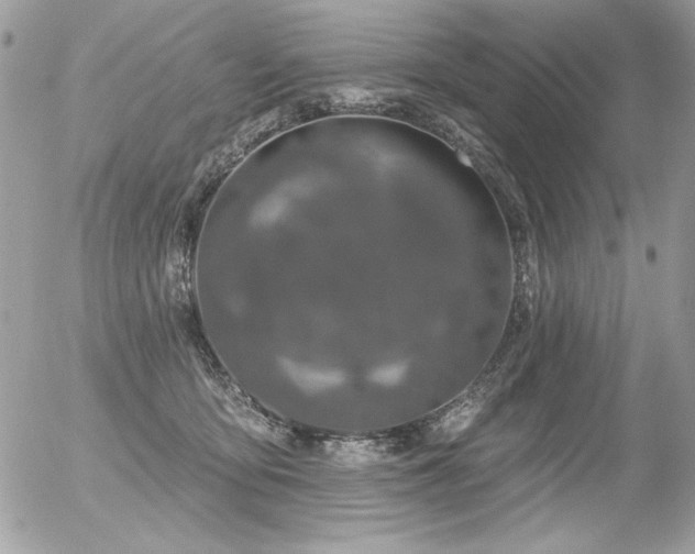 X0000056330419200508261225