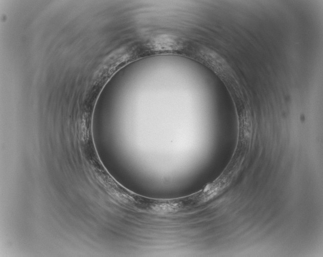 X0000056330422200508261225