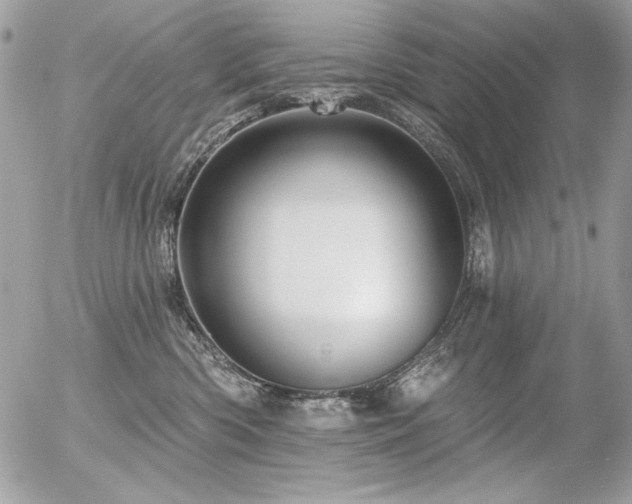 X0000056330426200508261225