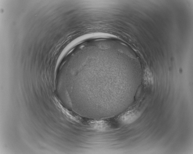 X0000056330428200508261225