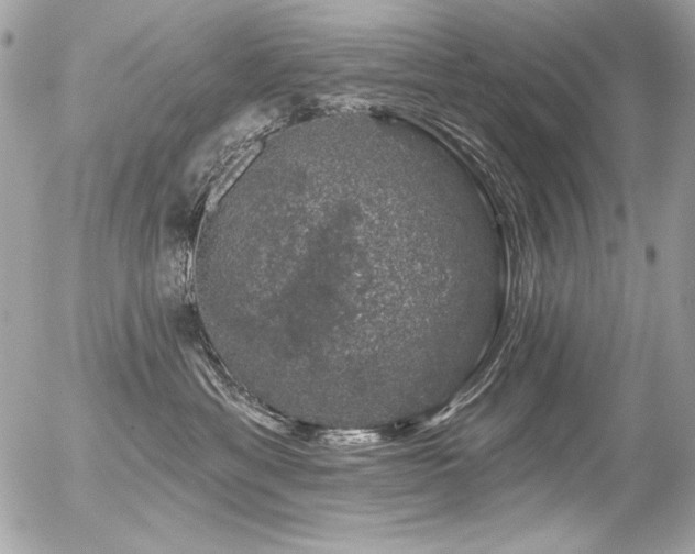 X0000056330429200508261225