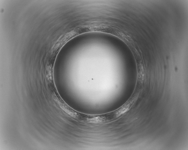 X0000056330430200508261225