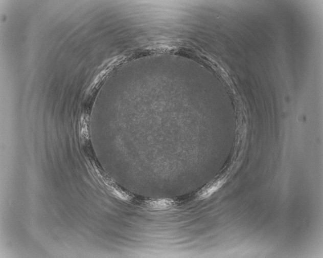 X0000056330432200508261225