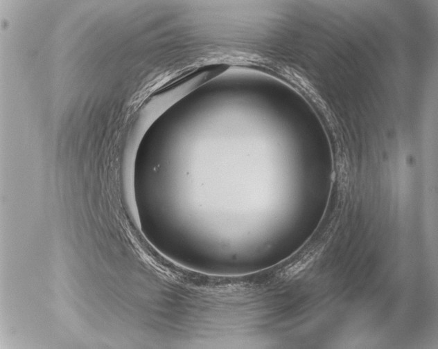 X0000056330433200508261224