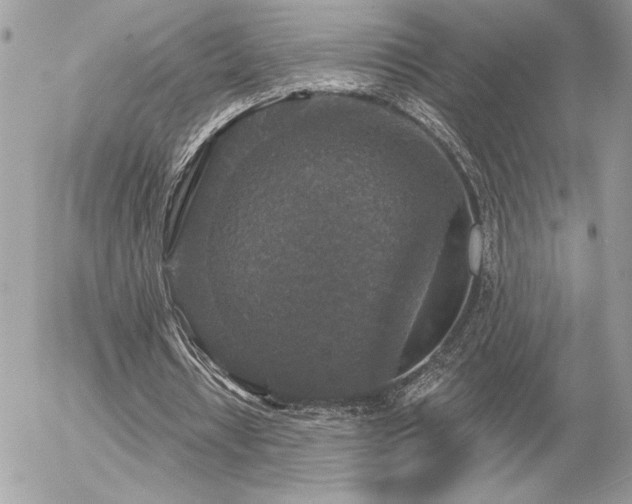 X0000056330434200508261224