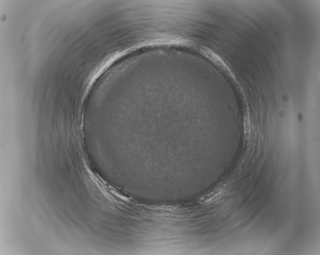 X0000056330436200508261224