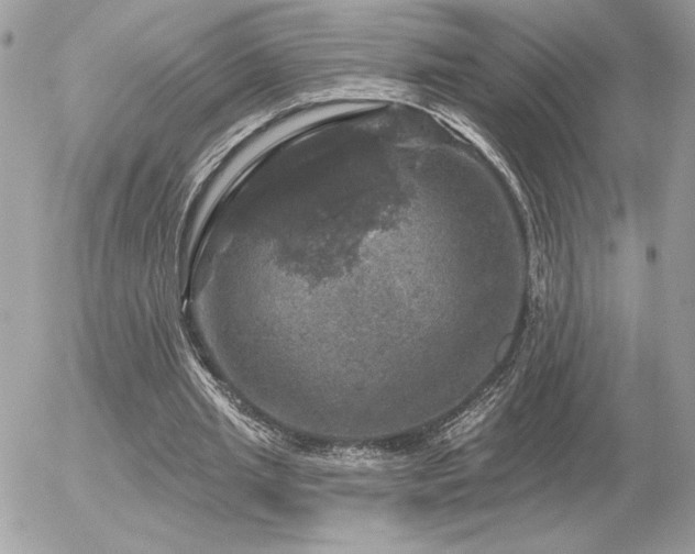 X0000056330437200508261224