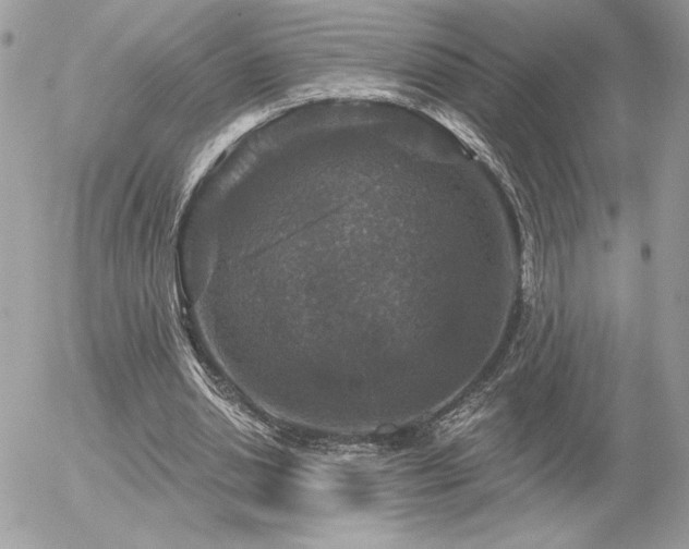 X0000056330438200508261224