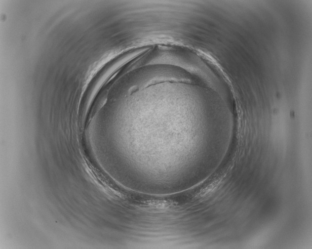 X0000056330439200508261224