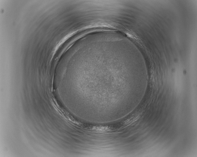 X0000056330440200508261224