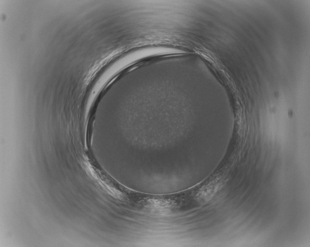 X0000056330442200508261224