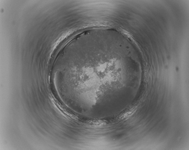 X0000056330443200508261224