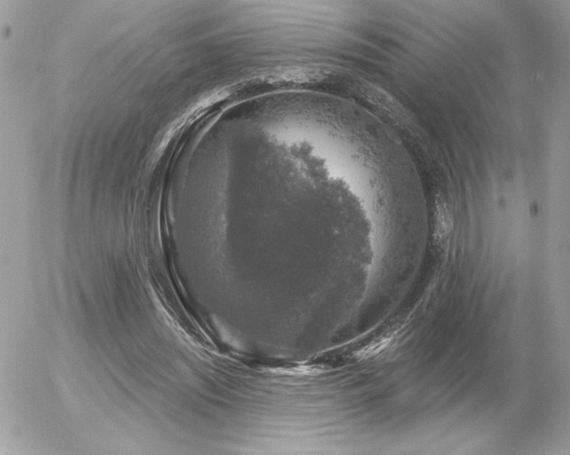 X0000056330444200508261224