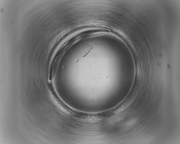 X0000056330445200508261224