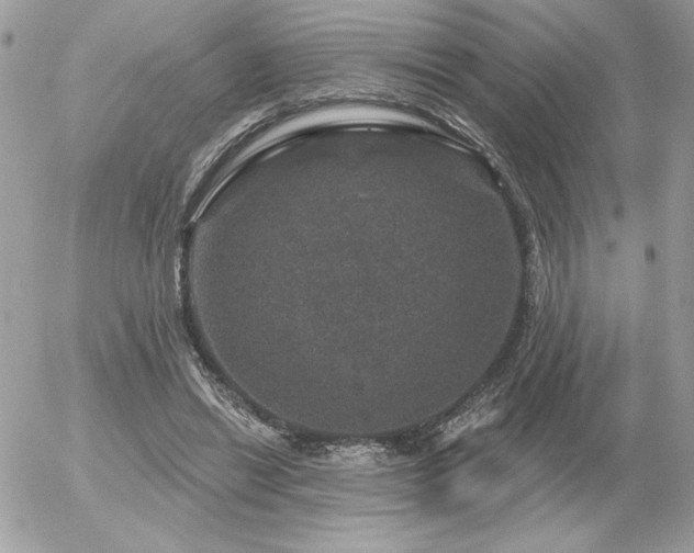 X0000056330446200508261224