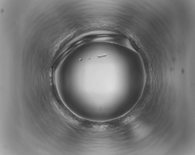 X0000056330450200508261225