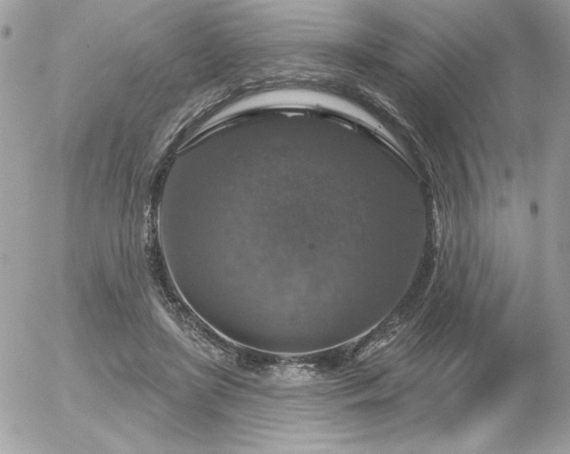 X0000056330451200508261225