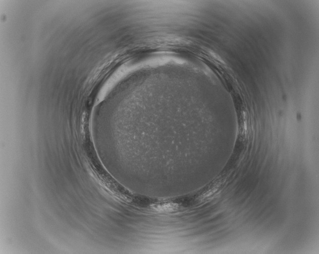 X0000056330452200508261225